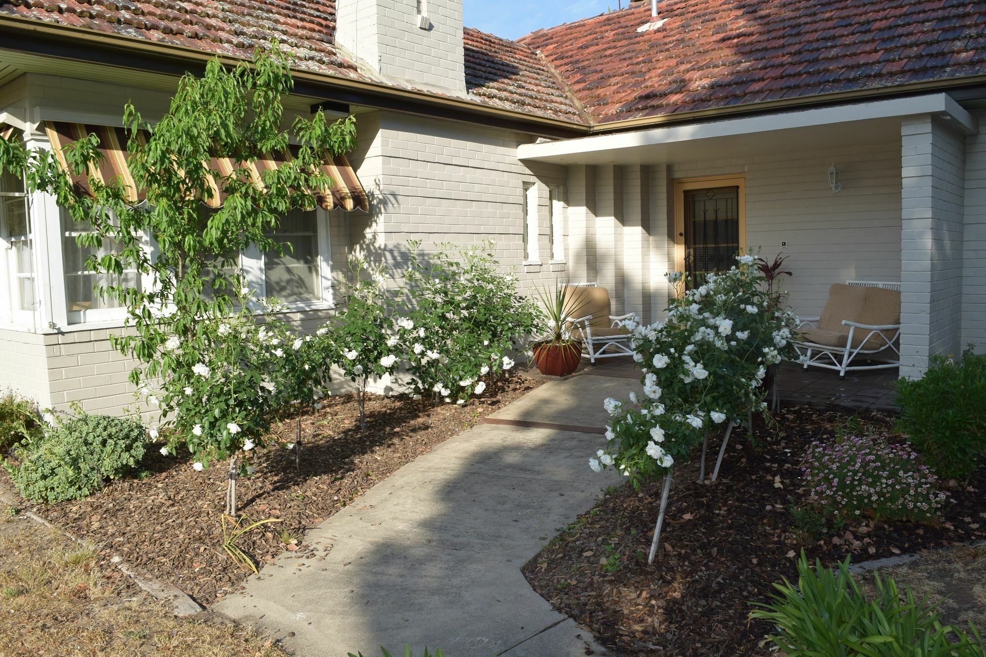 Benson House & Benson Lodge Benalla Exteriör bild
